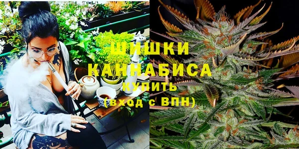 сатива Краснослободск