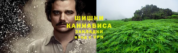 сатива Краснослободск
