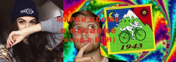 сатива Краснослободск